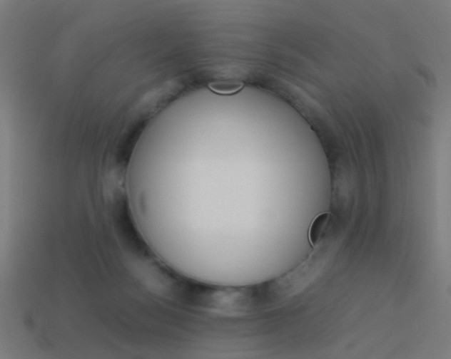 X0000114150172200910081120