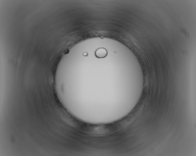 X0000114150173200910081120