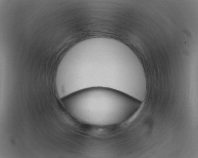 X0000114150174200910081120