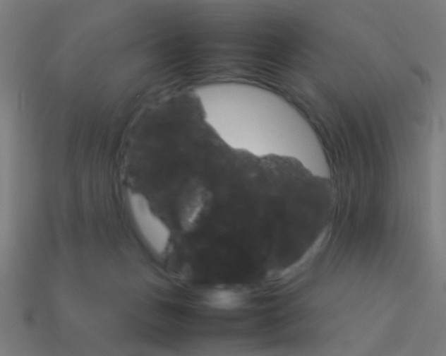 X0000114150175200910081120