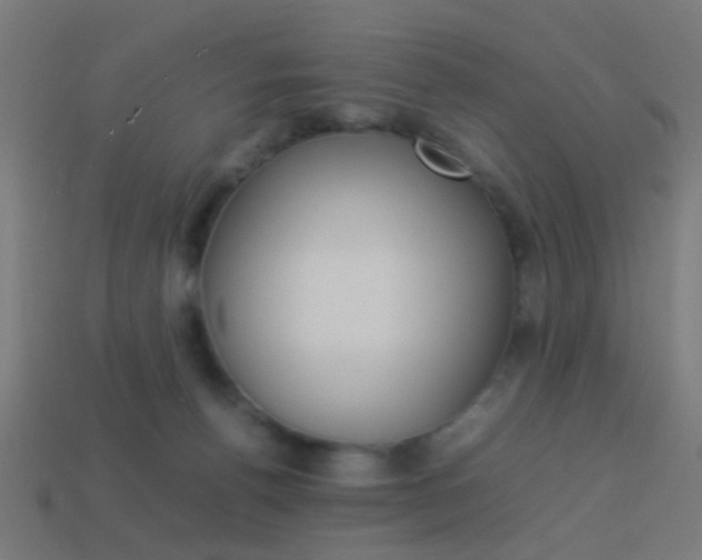 X0000114150176200910081120
