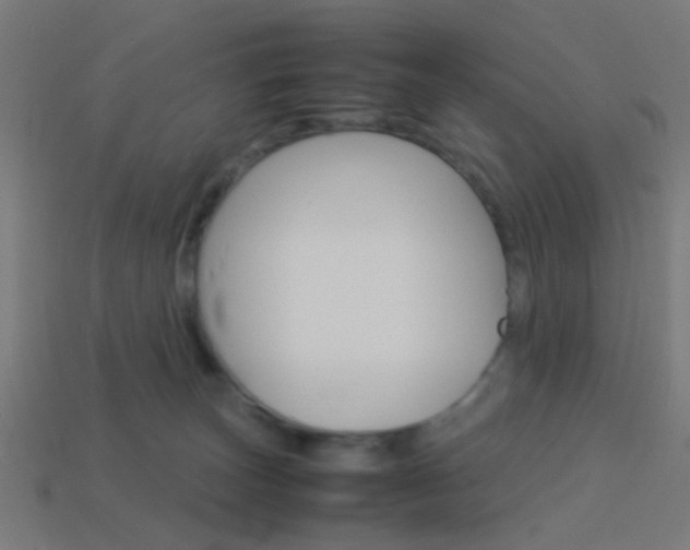 X0000114150179200910081120