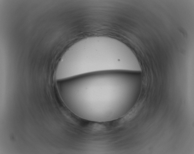X0000114150180200910081120