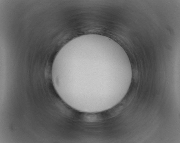 X0000114150181200910081120