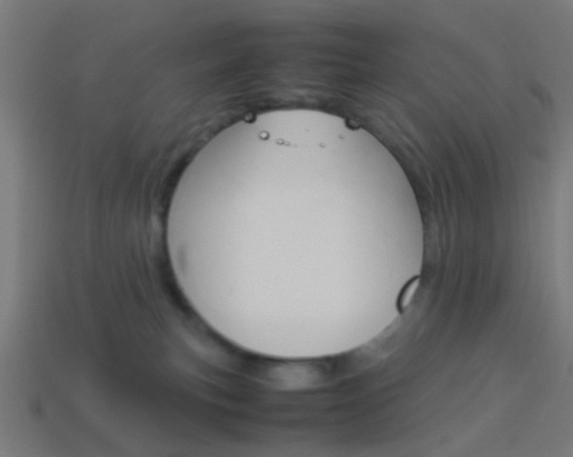 X0000114150183200910081120