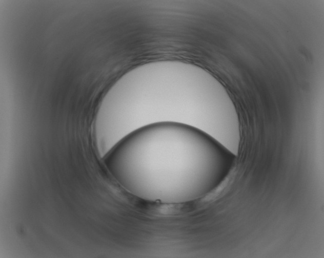 X0000114150184200910081120
