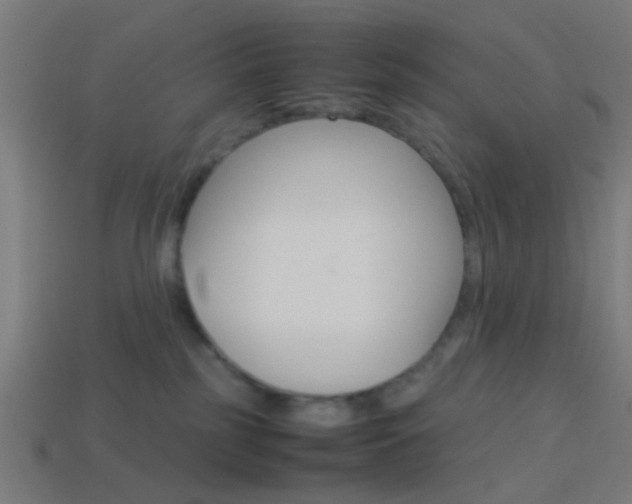 X0000114150185200910081120