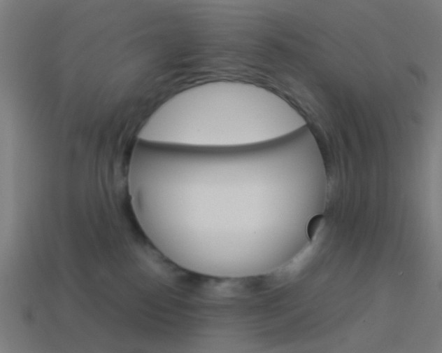 X0000114150186200910081120