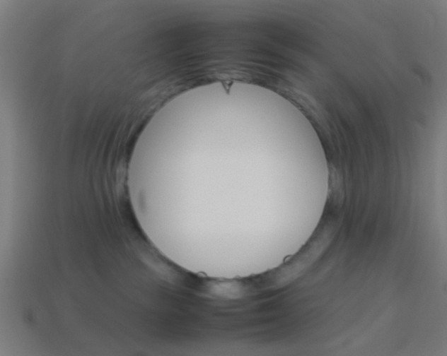 X0000114150189200910081120
