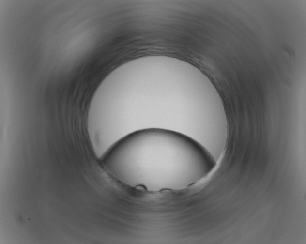 X0000114150190200910081120