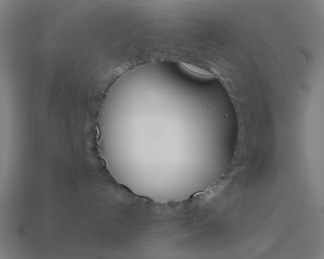 X0000114150192200910081120