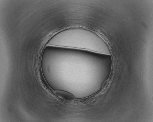X0000114150193200910081120