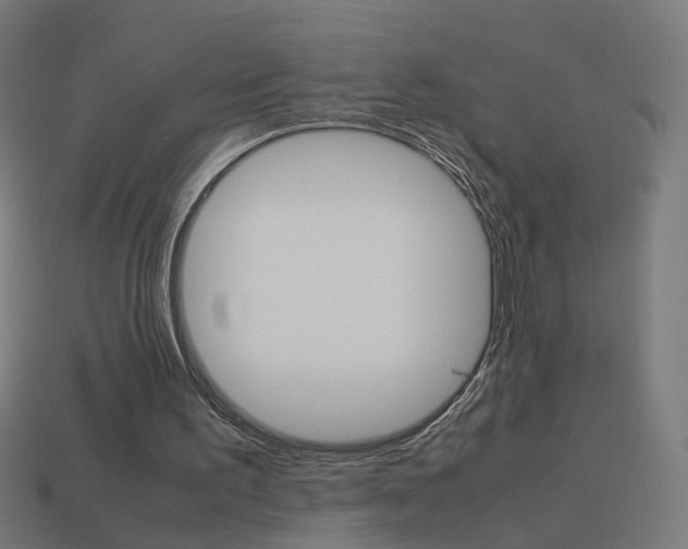 X0000114150195200910081120