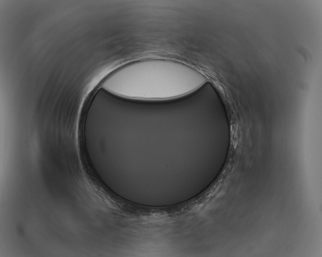 X0000114150196200910081120