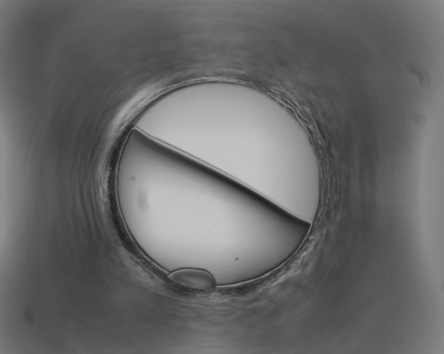 X0000114150197200910081120
