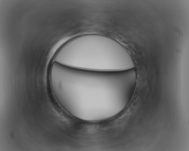 X0000114150200200910081120