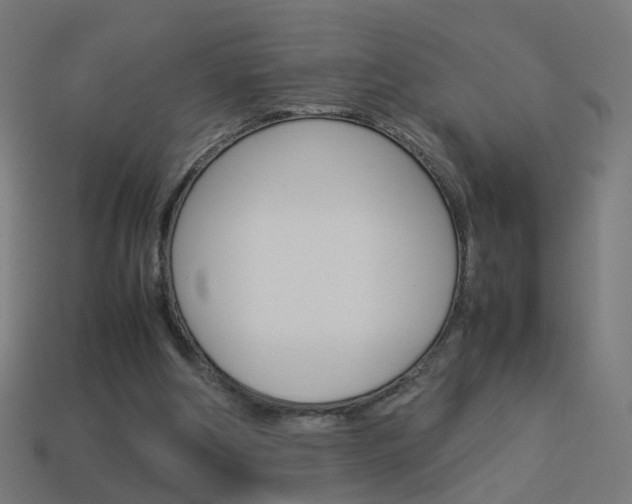 X0000114150202200910081120