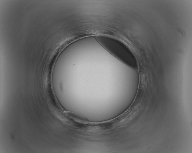X0000114150203200910081120