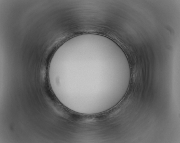 X0000114150206200910081120