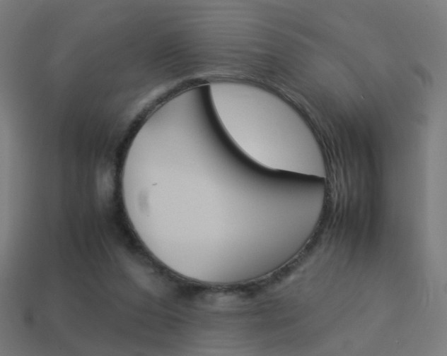 X0000114150208200910081120
