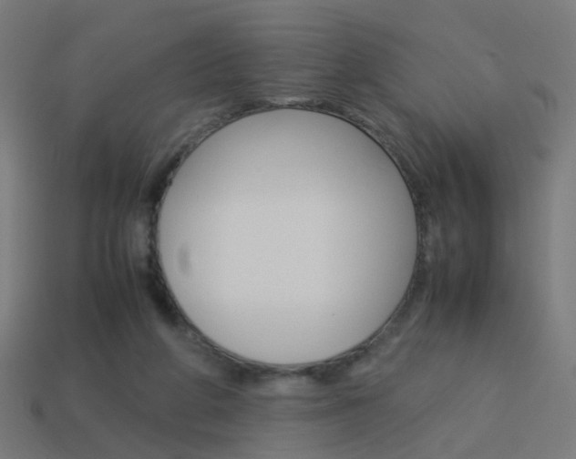 X0000114150210200910081120