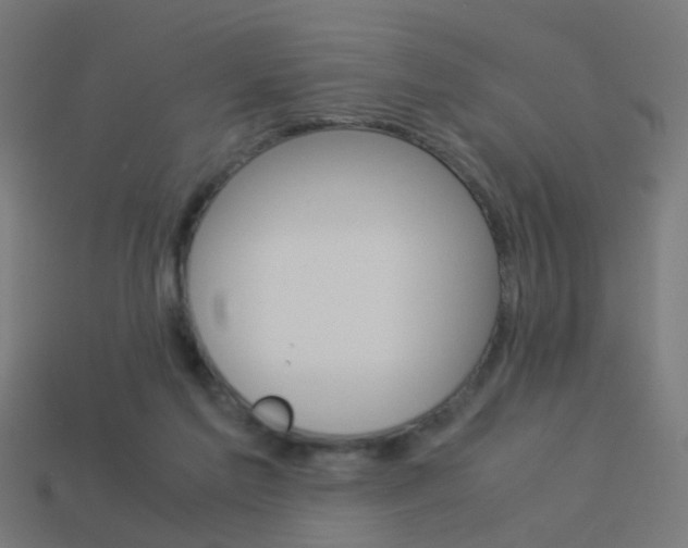 X0000114150213200910081120