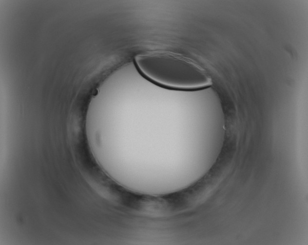 X0000114150215200910081120