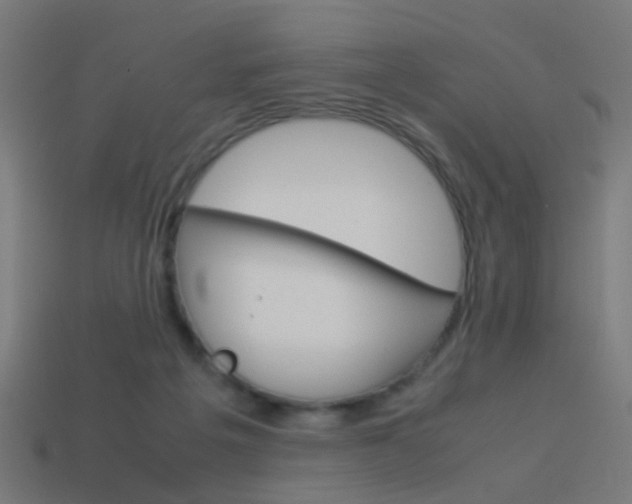 X0000114150217200910081120