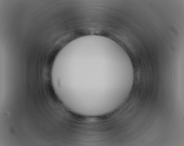 X0000114150218200910081120