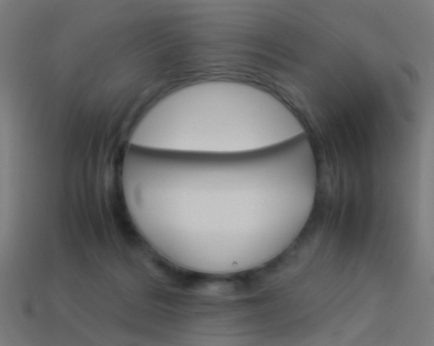 X0000114150220200910081119