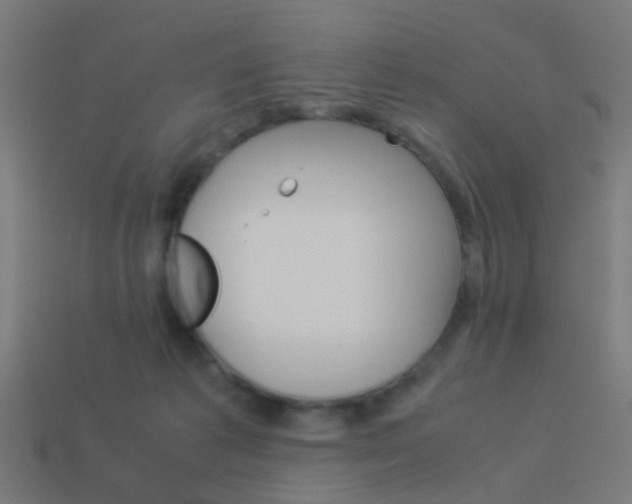 X0000114150221200910081119