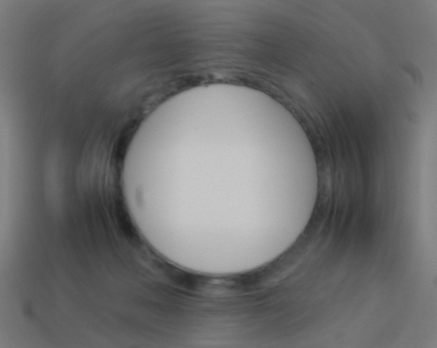 X0000114150222200910081119