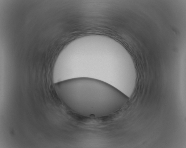 X0000114150223200910081119