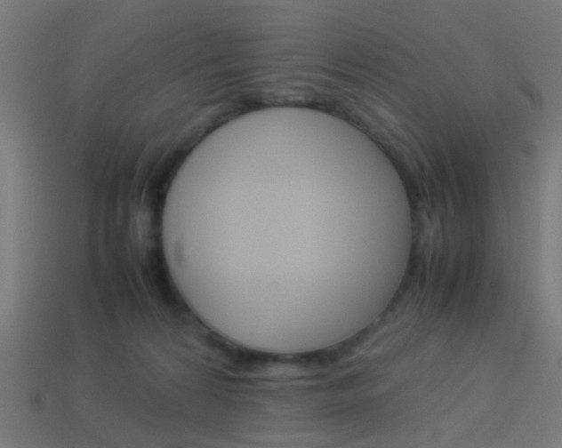 X0000114150224200910081119