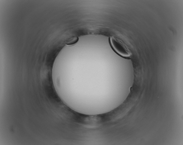 X0000114150225200910081119