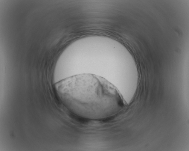 X0000114150227200910081119