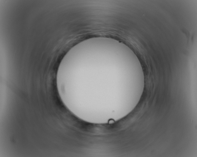 X0000114150229200910081119
