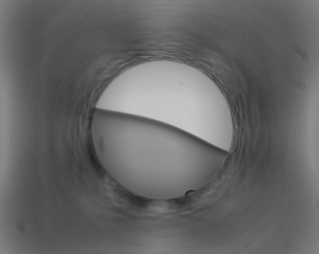 X0000114150231200910081119