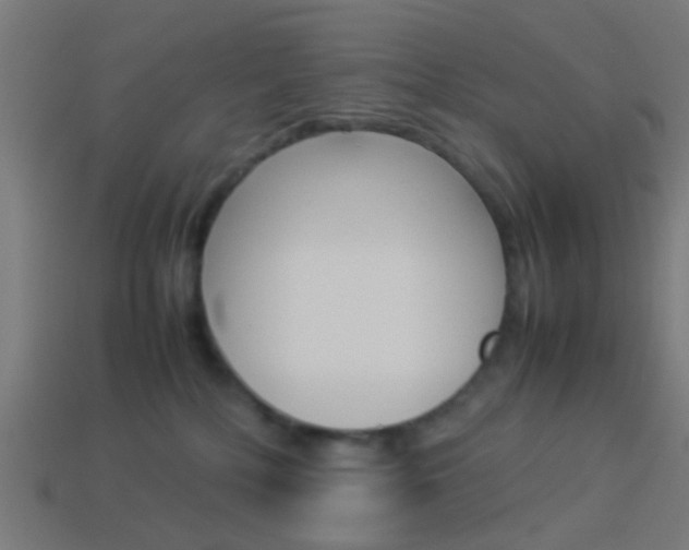 X0000114150232200910081119