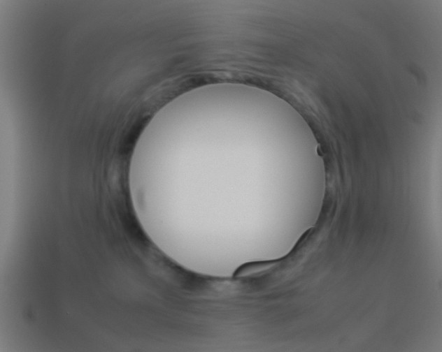 X0000114150233200910081119
