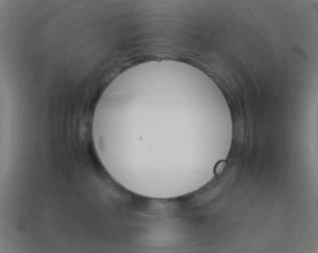 X0000114150234200910081119