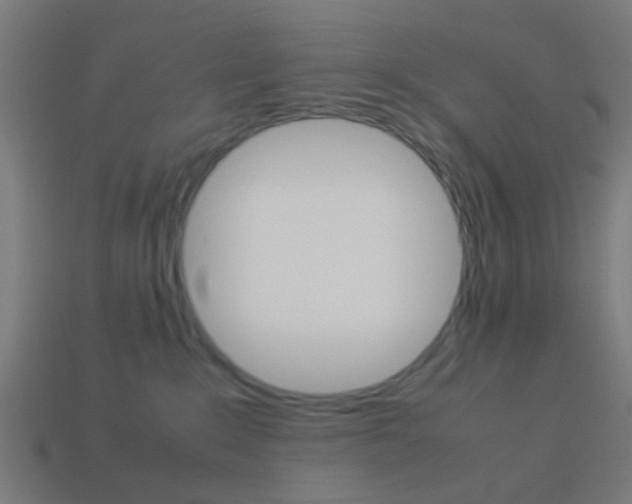 X0000114150235200910081119