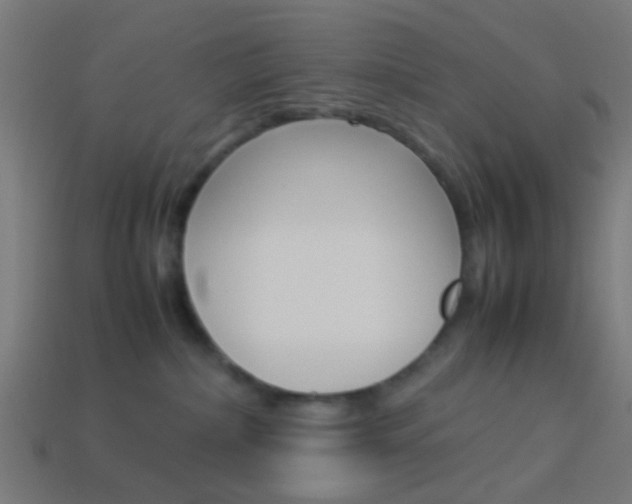 X0000114150236200910081119