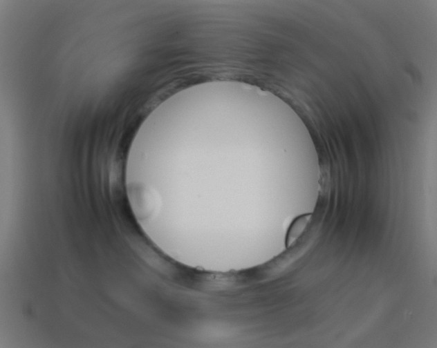 X0000114150238200910081119