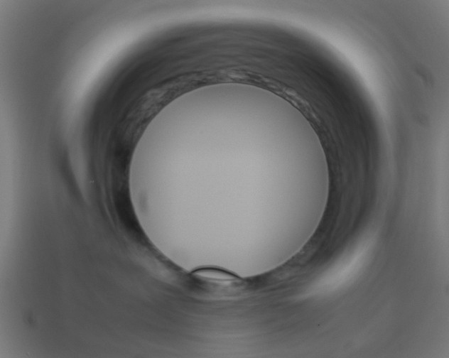 X0000114150239200910081119