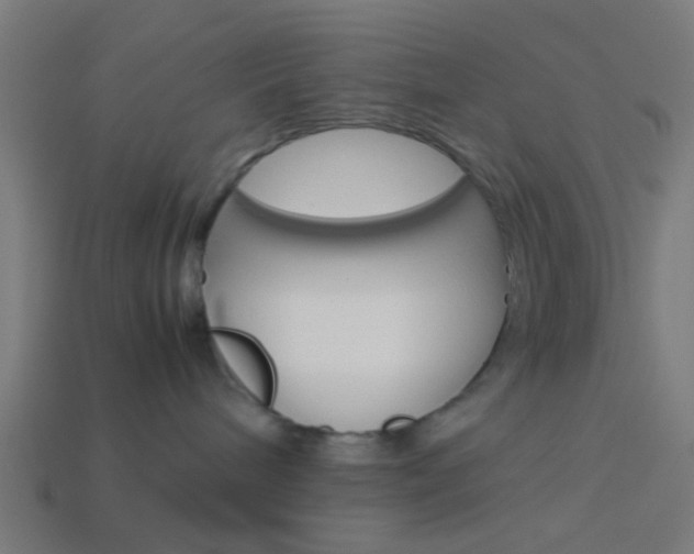 X0000114150240200910081119