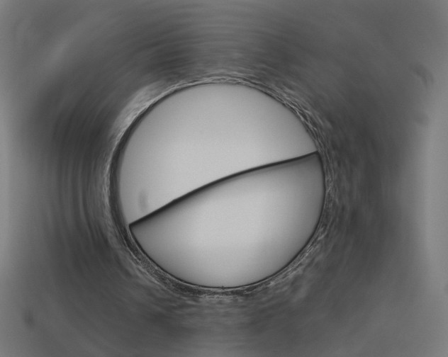 X0000114150242200910081119