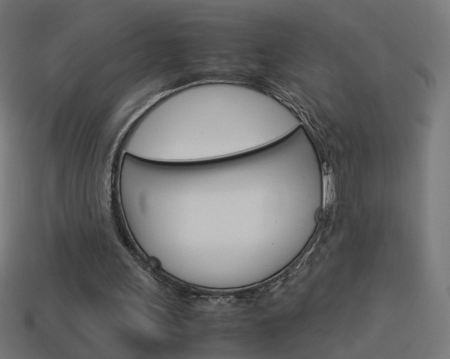 X0000114150243200910081119