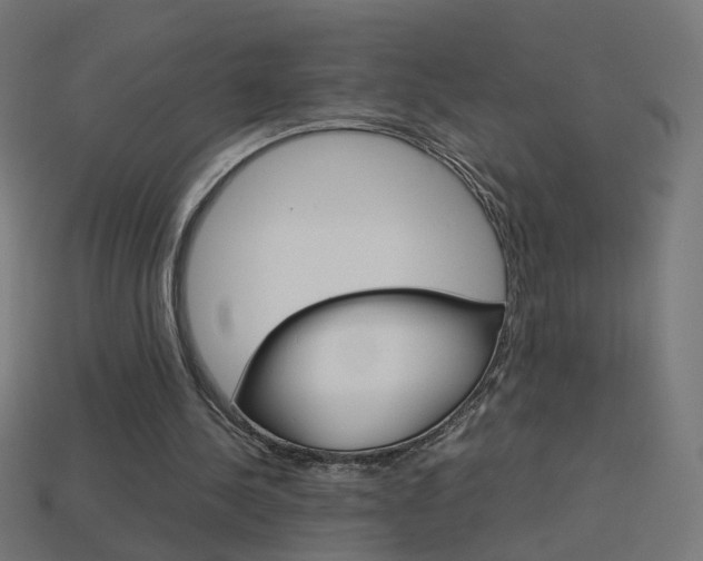 X0000114150244200910081119
