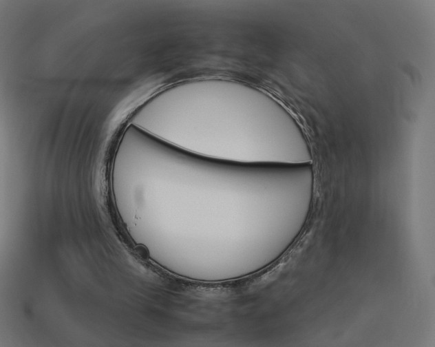 X0000114150245200910081119